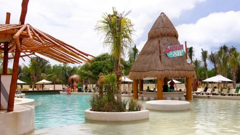 The swim-up bar at the port