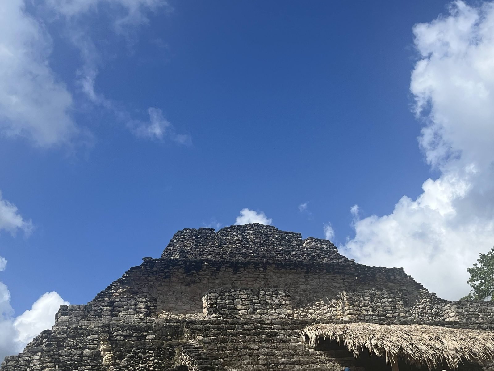 A pyramid at Chacchoben