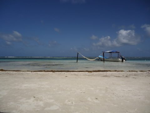 Hammocks on the beach in Mahahual