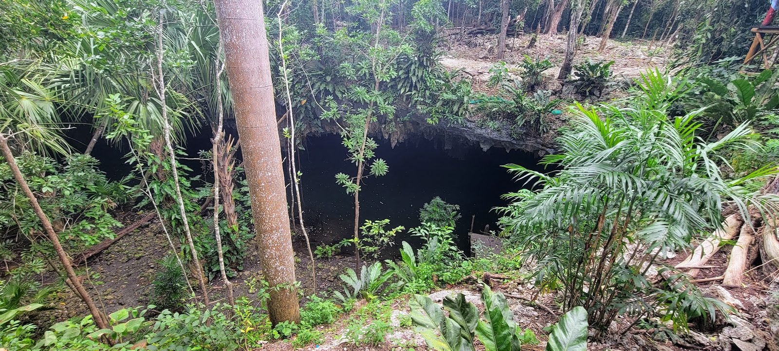 Jade Cavern cenote in the jungle near El Cedral