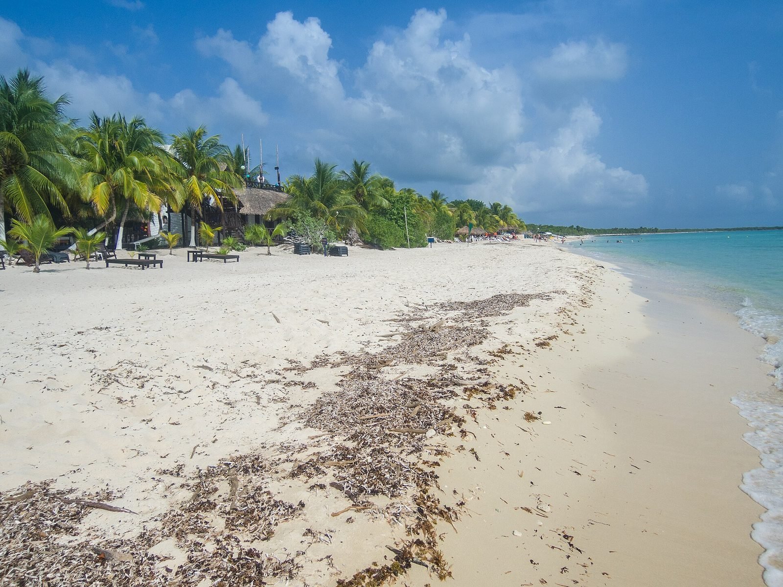 Palm-lined beach on Cozumel's west coast