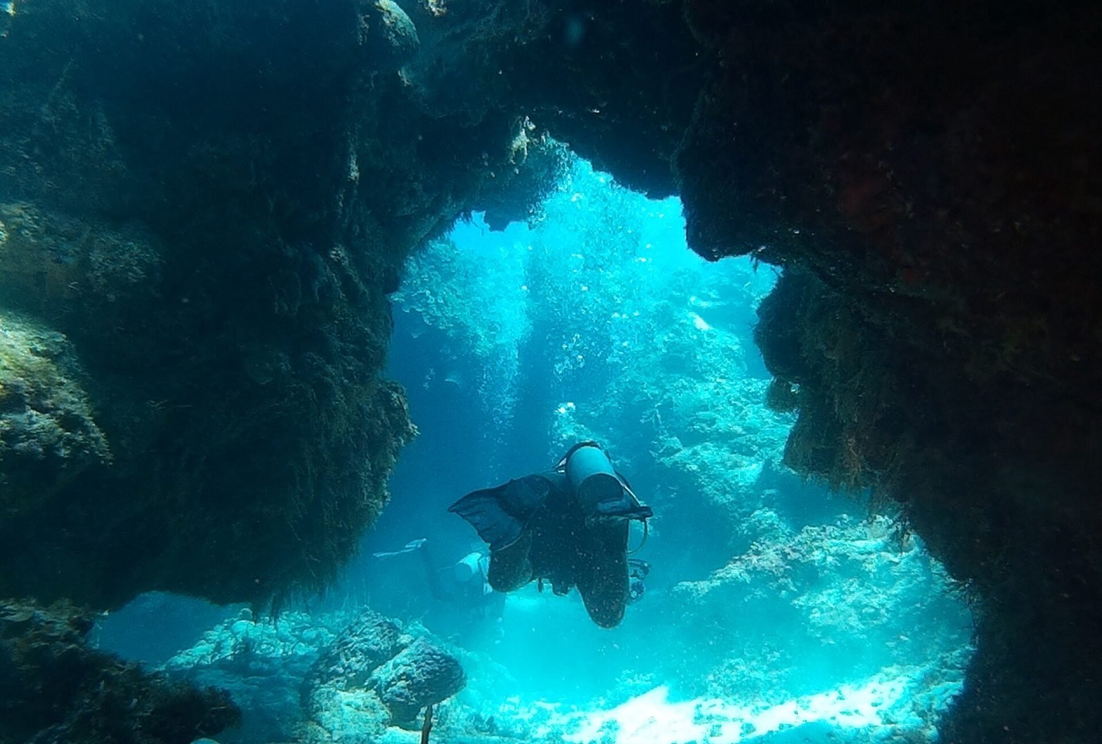 Palancar Reef, Cozumel