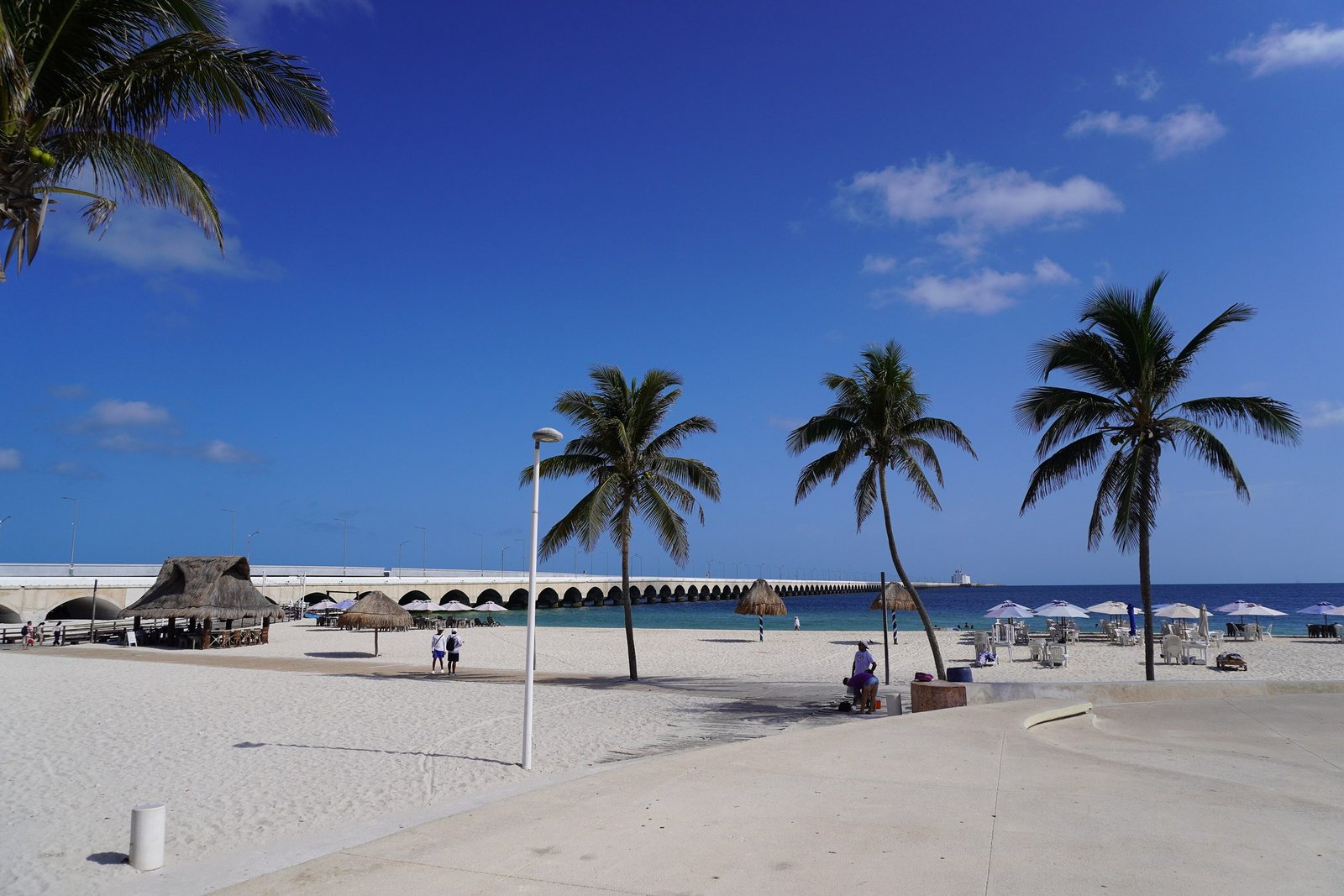 Palm trees on the beach in Progreso, Yucatán, with the long pier stretching out to sea