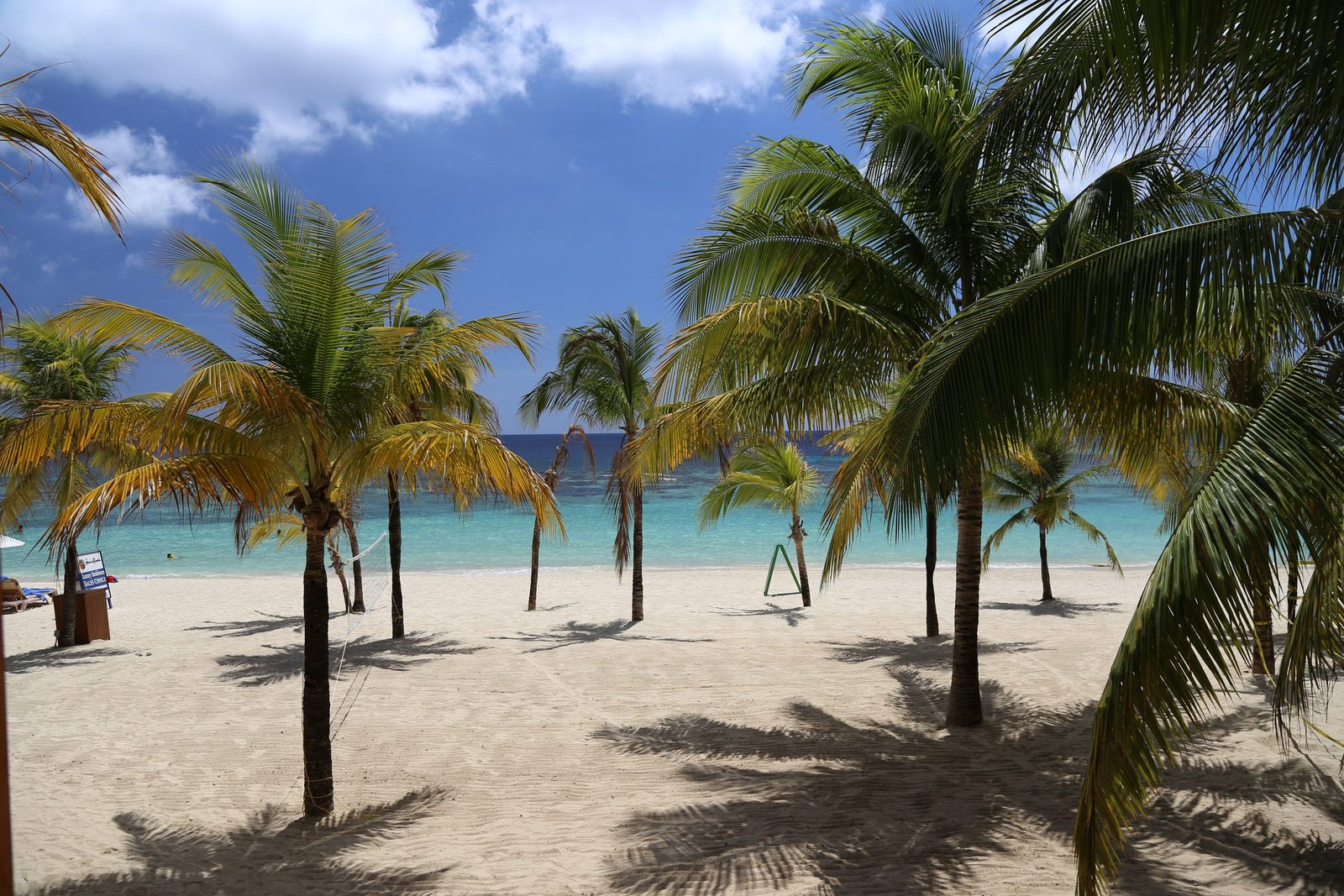 Palm trees on a white-sand beach on Roatan, Honduras