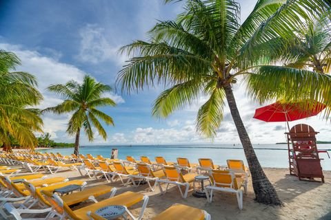 Loungers under the palms on the beach at Isla Tropicale