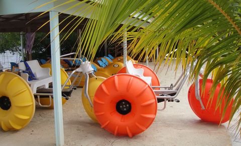 Hydrobikes lined up on the beach on Roatan