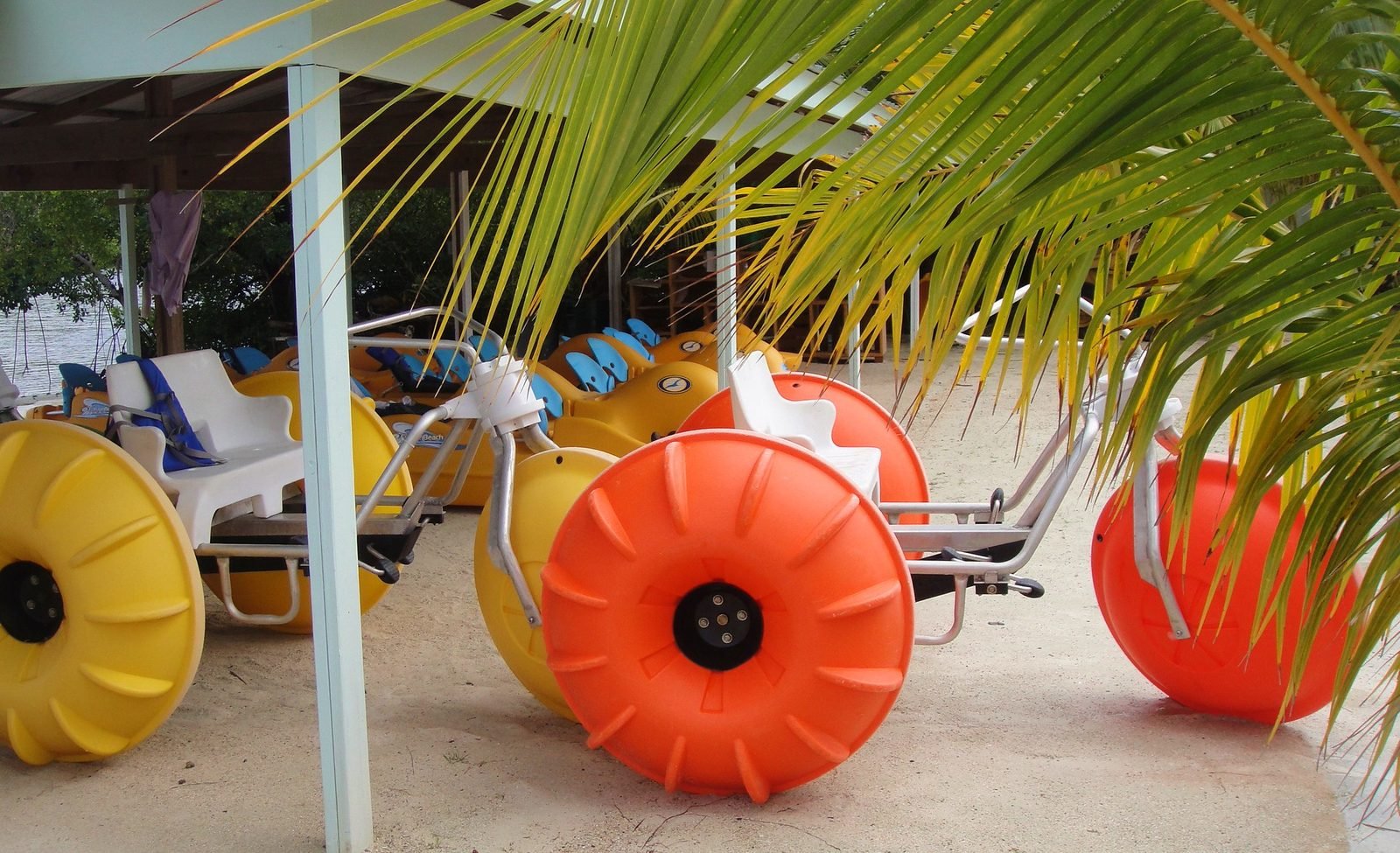 Hydrobikes lined up on the beach on Roatan
