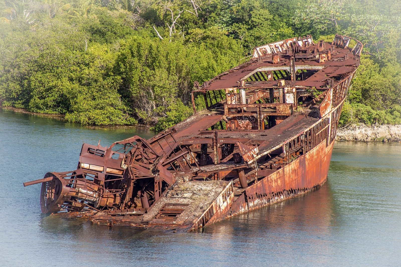 A rusting shipwreck along the Roatan shore