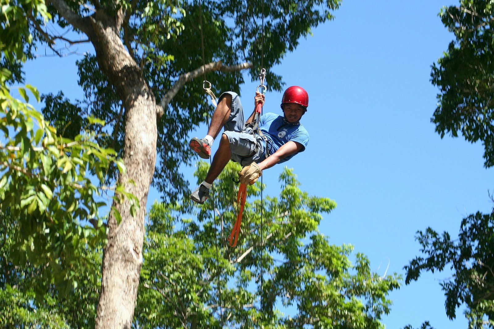 Ziplining through the jungle canopy on Roatan